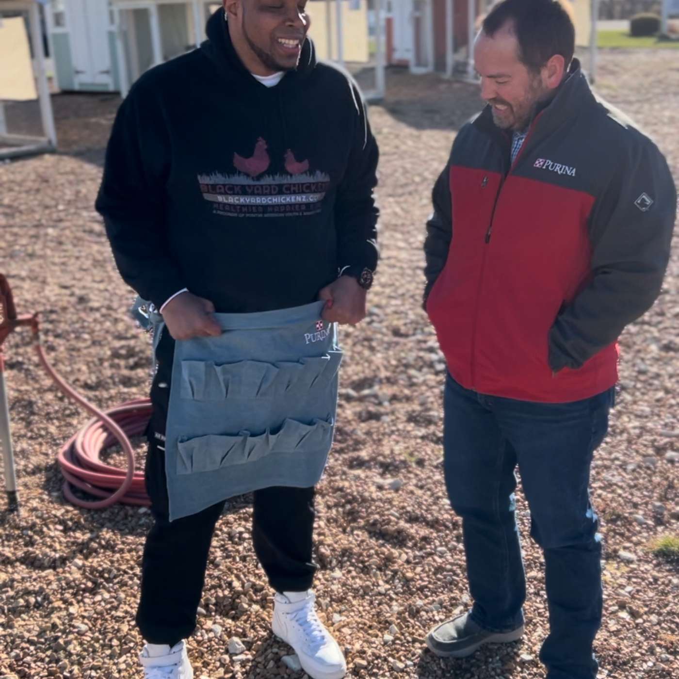 Eggcellent Bonus! Purina Poultry Nutrition Expert, Dr. Biggs, Helps us identify baby chick gender Eggcellent Bonus! Purina Poultry Nutrition Expert, Dr. Biggs, Helps us identify baby chick gender