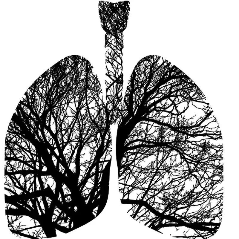 CAP SANTÉ - Le point sur la BPCO, la Broncho-pneumopathie chronique obstructive