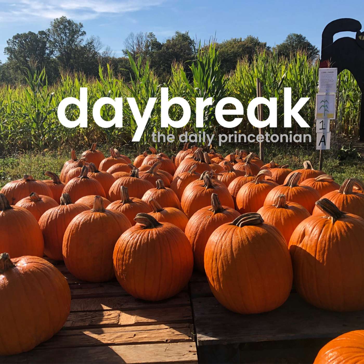 Daybreak Celebrates Fall