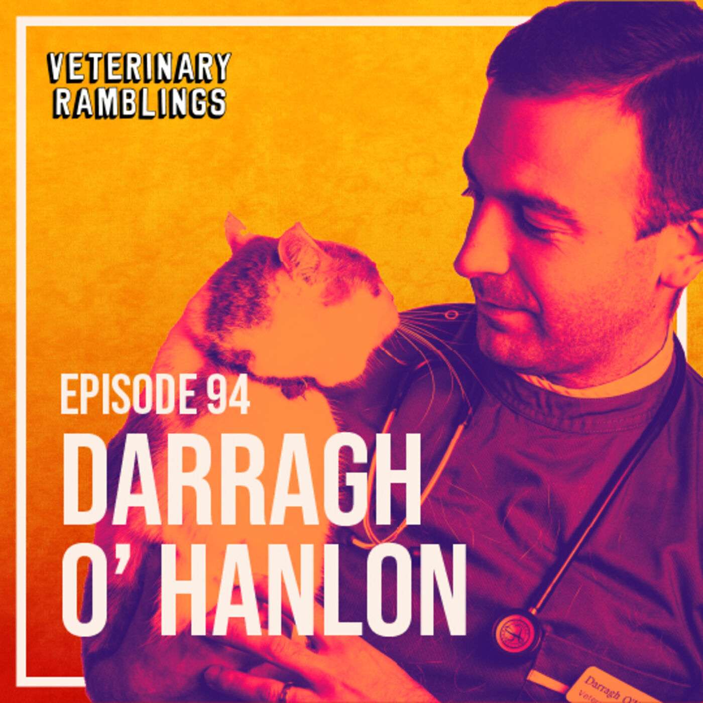 Ep 94: Veterinary Dermatology With Dr Darragh O' Hanlon AKA @thetopicalvet