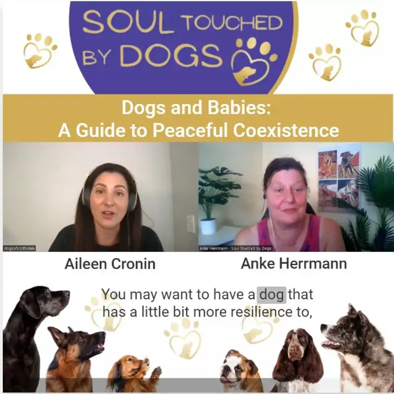 Aileen Cronin - Dogs and Babies: A Guide to Peaceful Coexistence