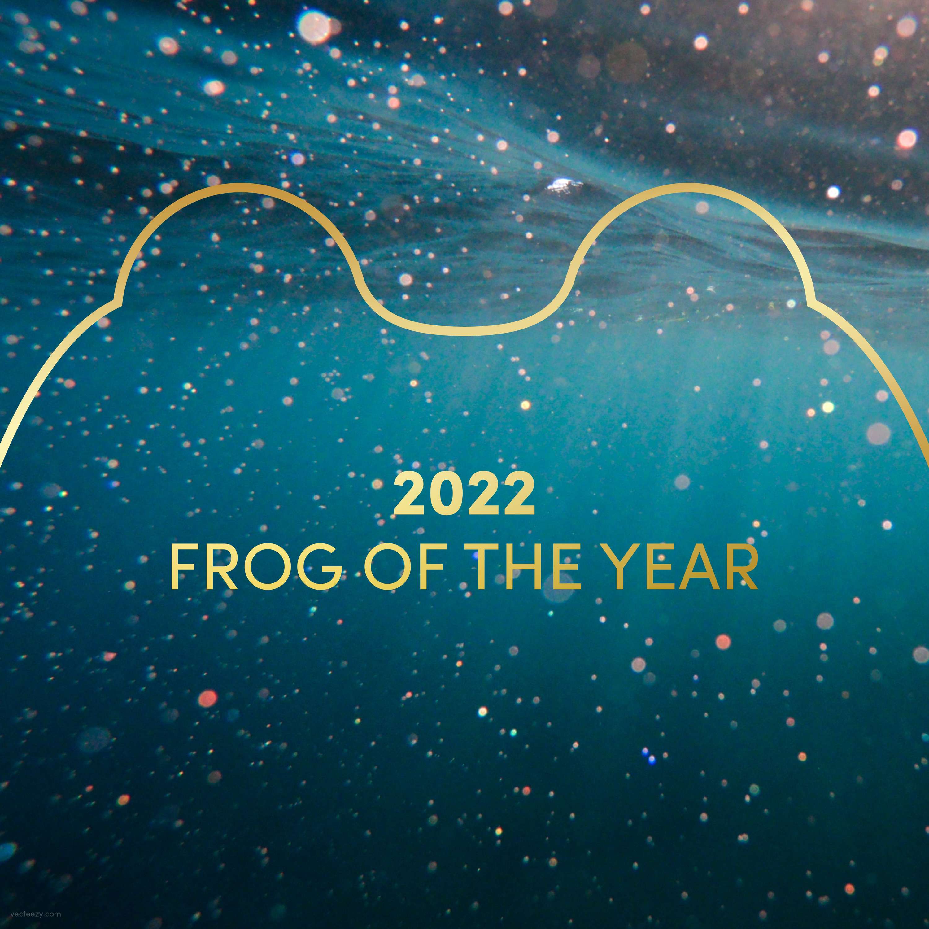 Frog of the Year | 2022