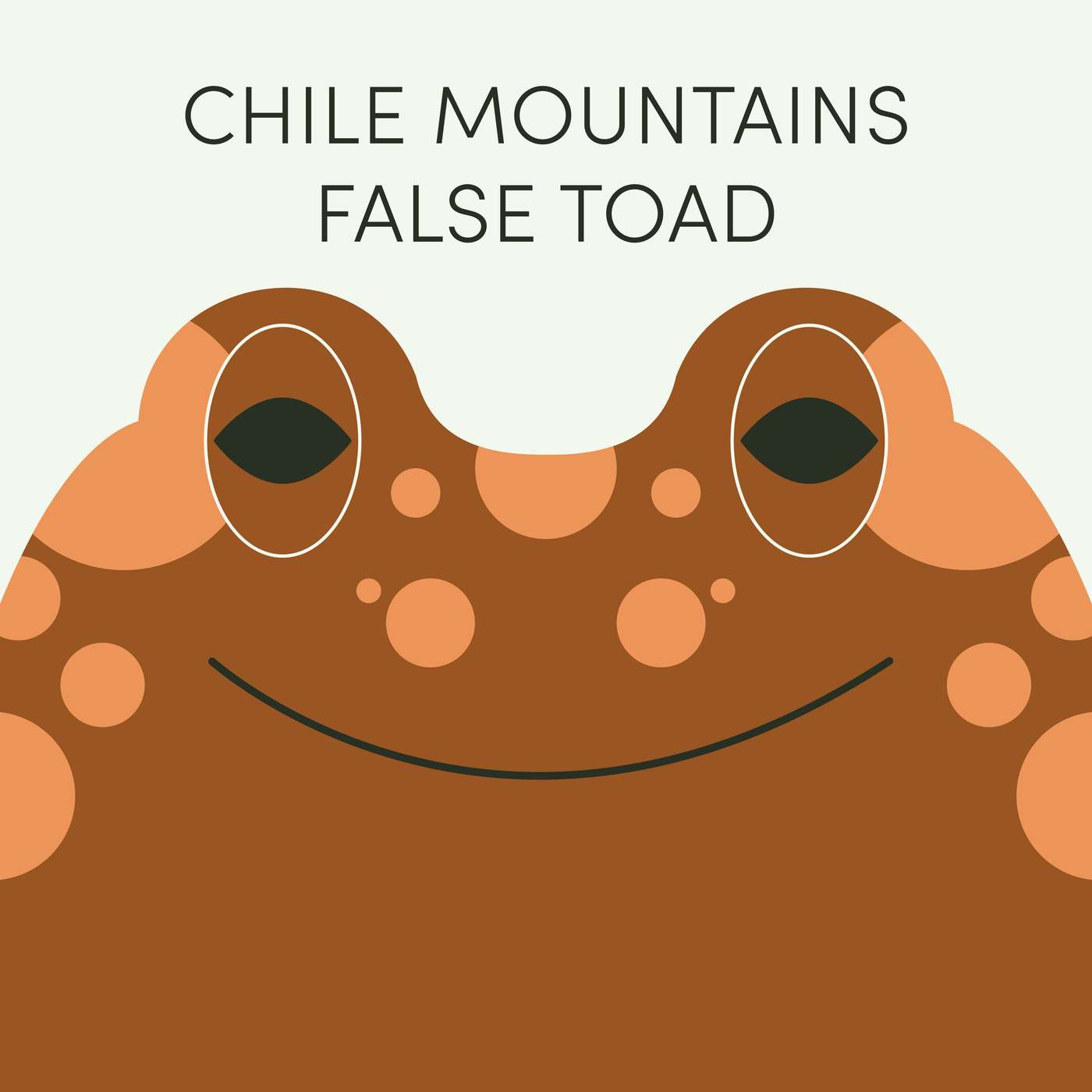 Week of June 9th | Chile Mountains False Toad