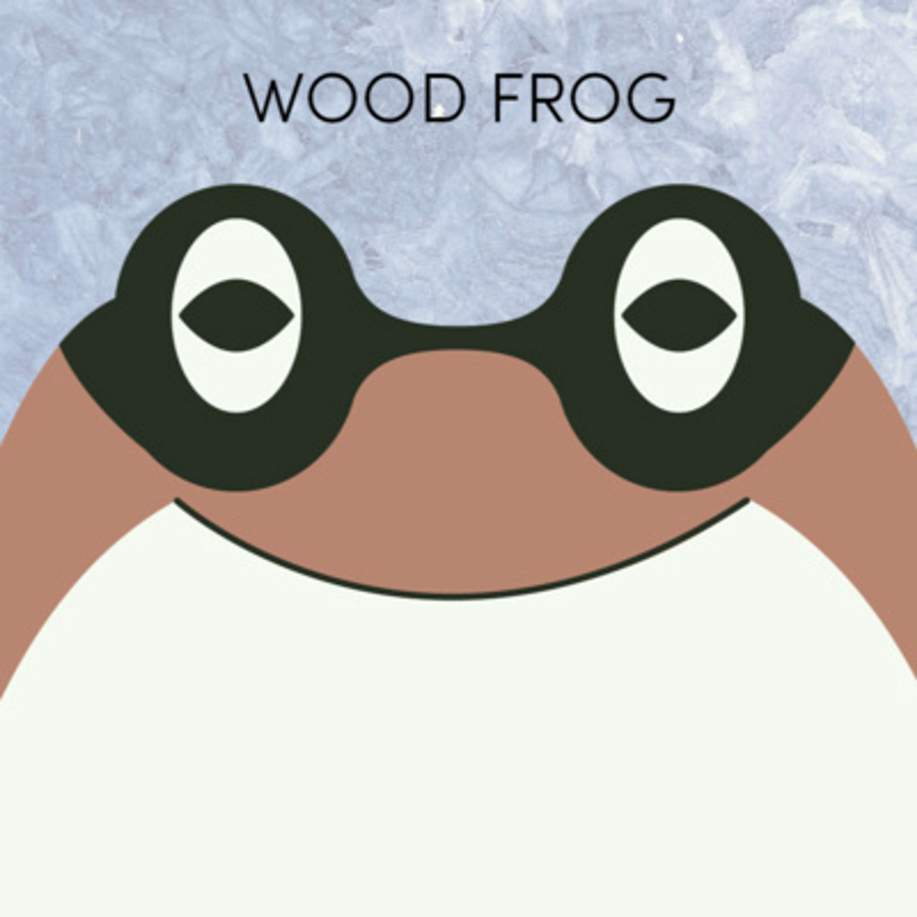 Wood Frog | Week of November 8th