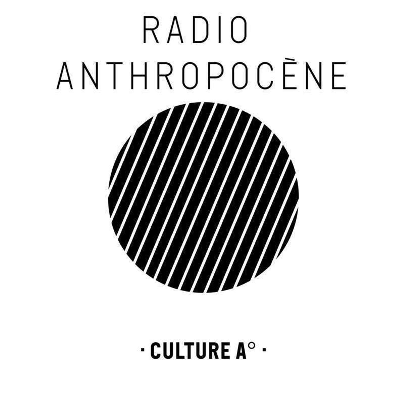 Culture A° - Erin Brockovich, seule contre tous (2000, Steven Soderbergh)