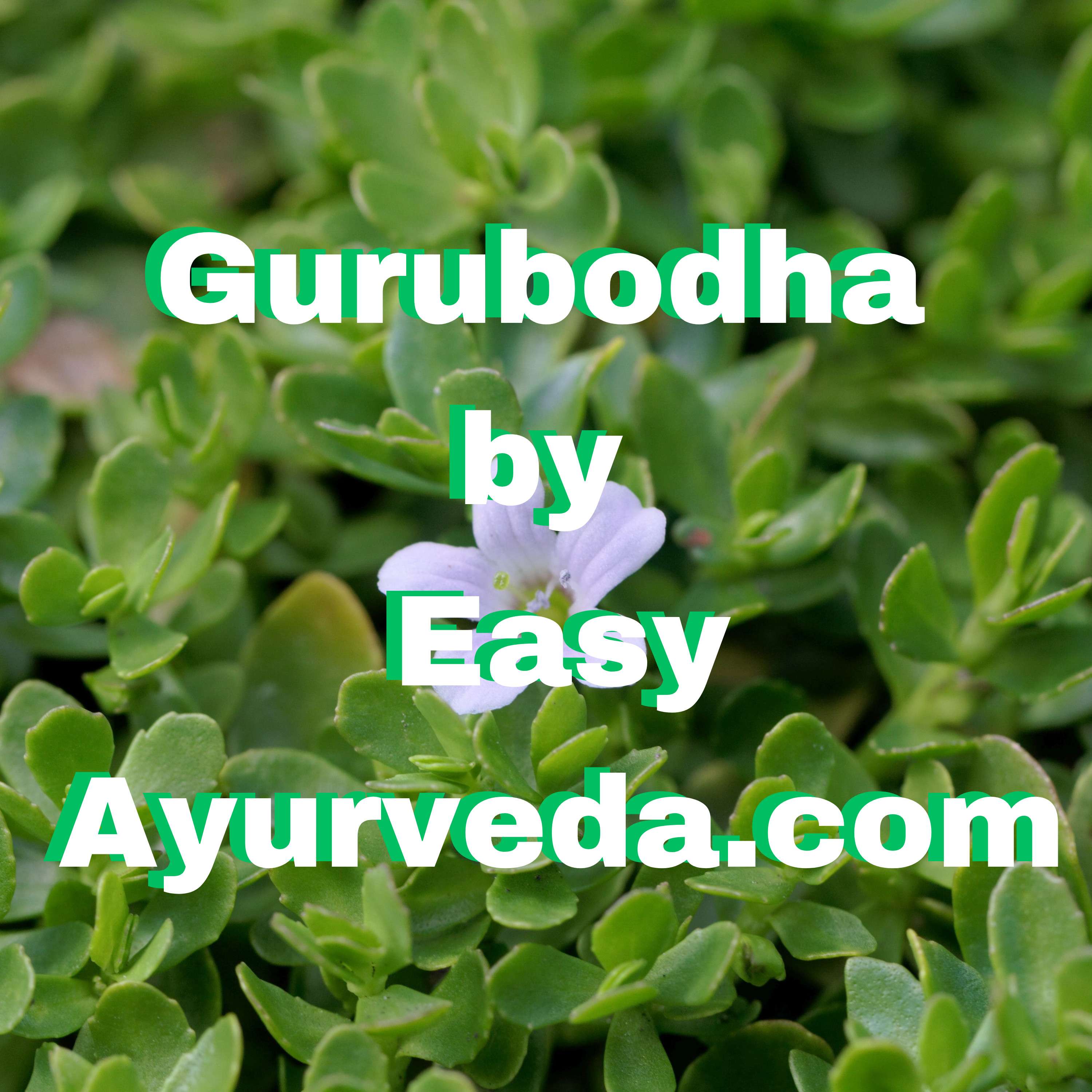 Easy Ayurveda Podcast
