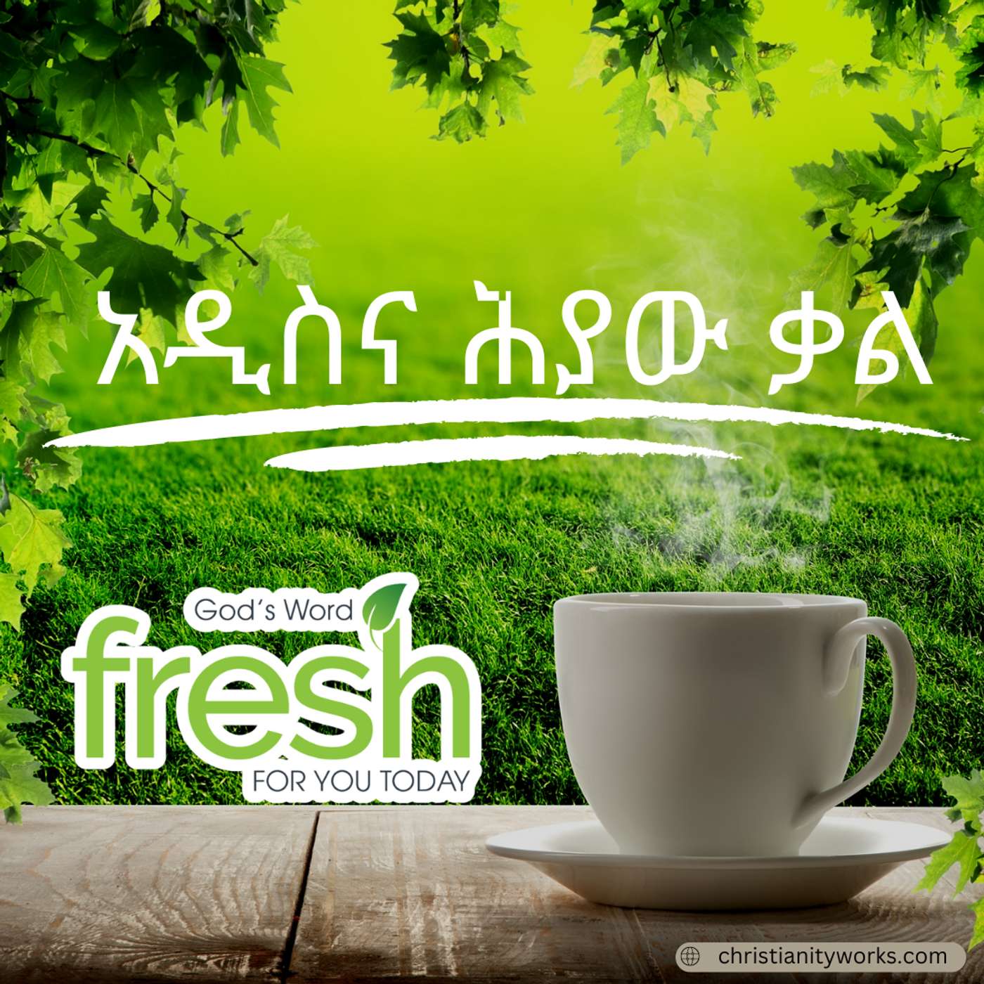 Fresh Amharic Audio Messages