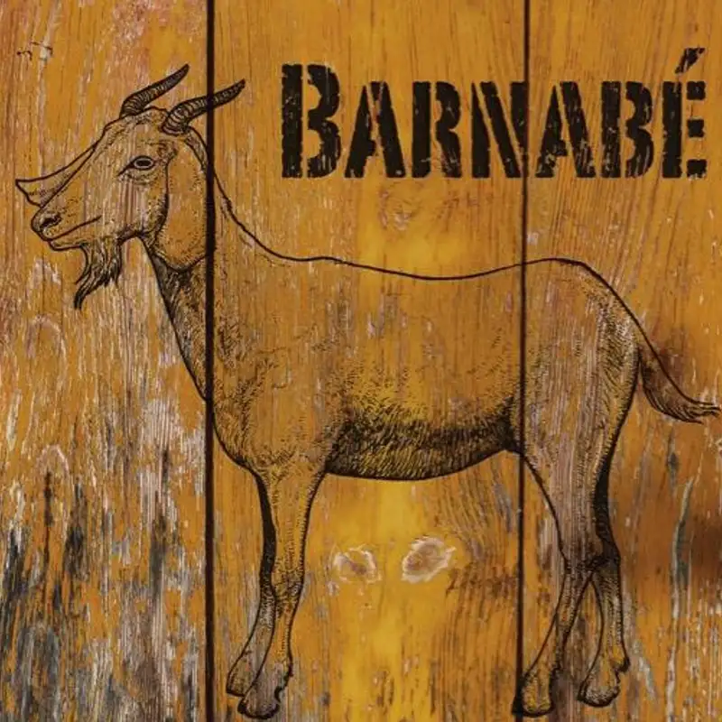 MUSIQUE - Rencontre avec Barnabé et son approche musicale décalée