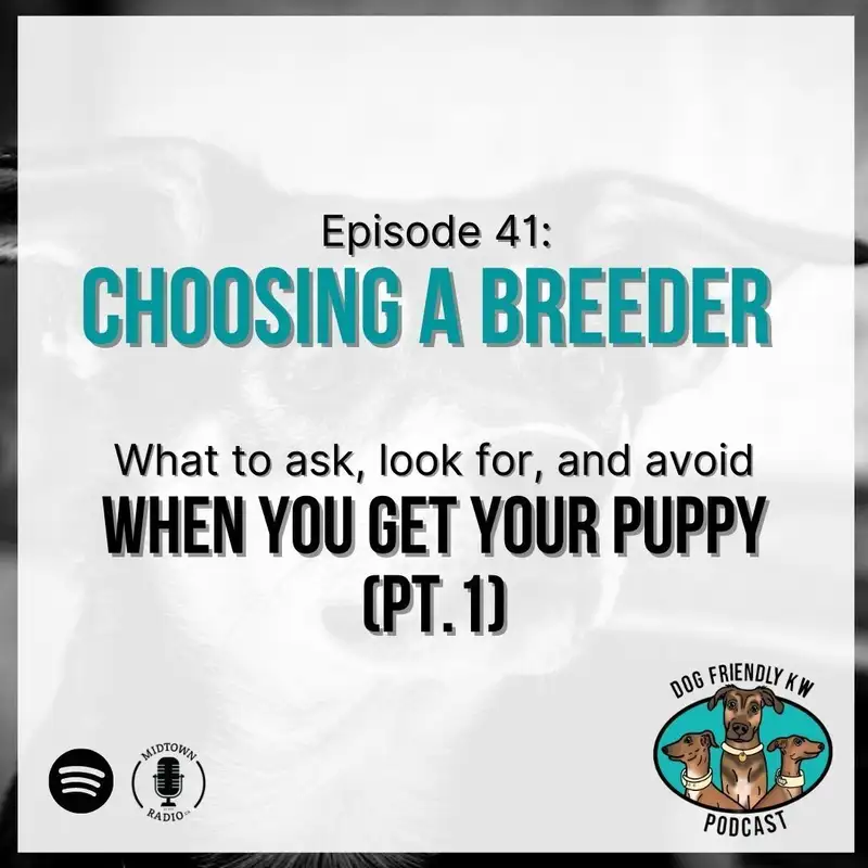 Choosing a Breeder (Pt. 1): What to ASK, LOOK FOR, and AVOID