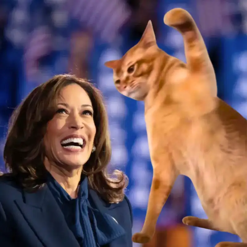 Pounce Pending as Kamala Seizes Up