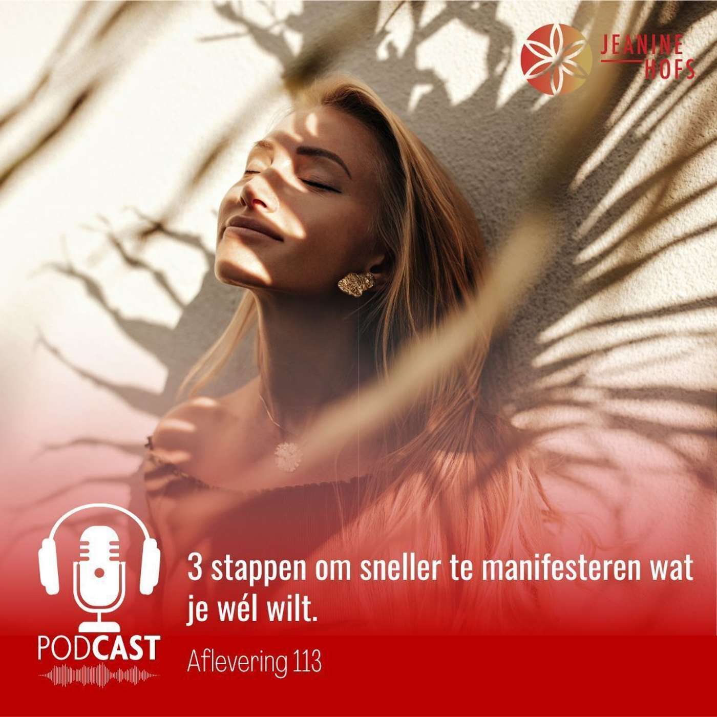 #113 - 3 stappen om sneller te manifesteren wat je wél wilt.