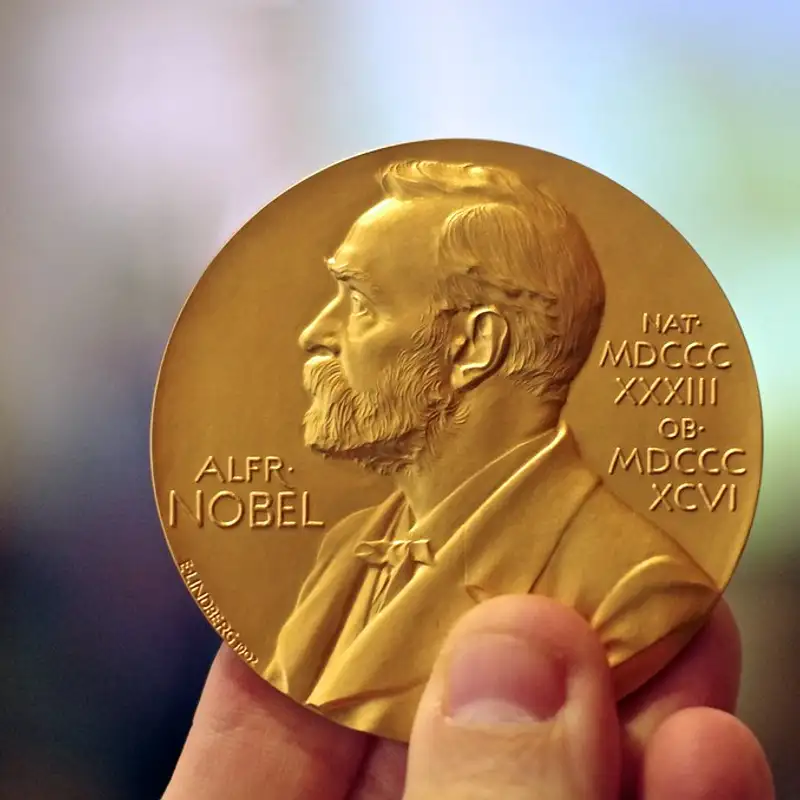 ECONOMIE - Les prix Nobel 2024