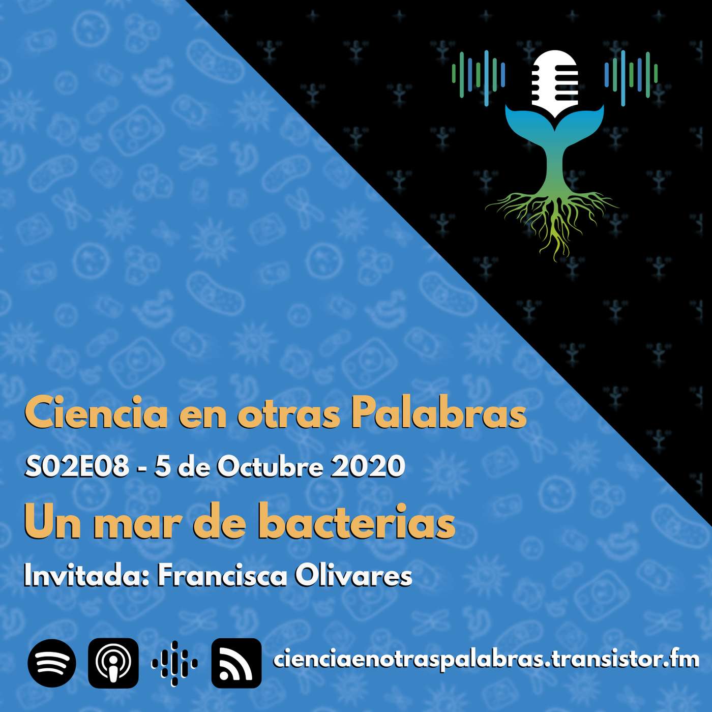 S02E08 - Un mar de bacterias