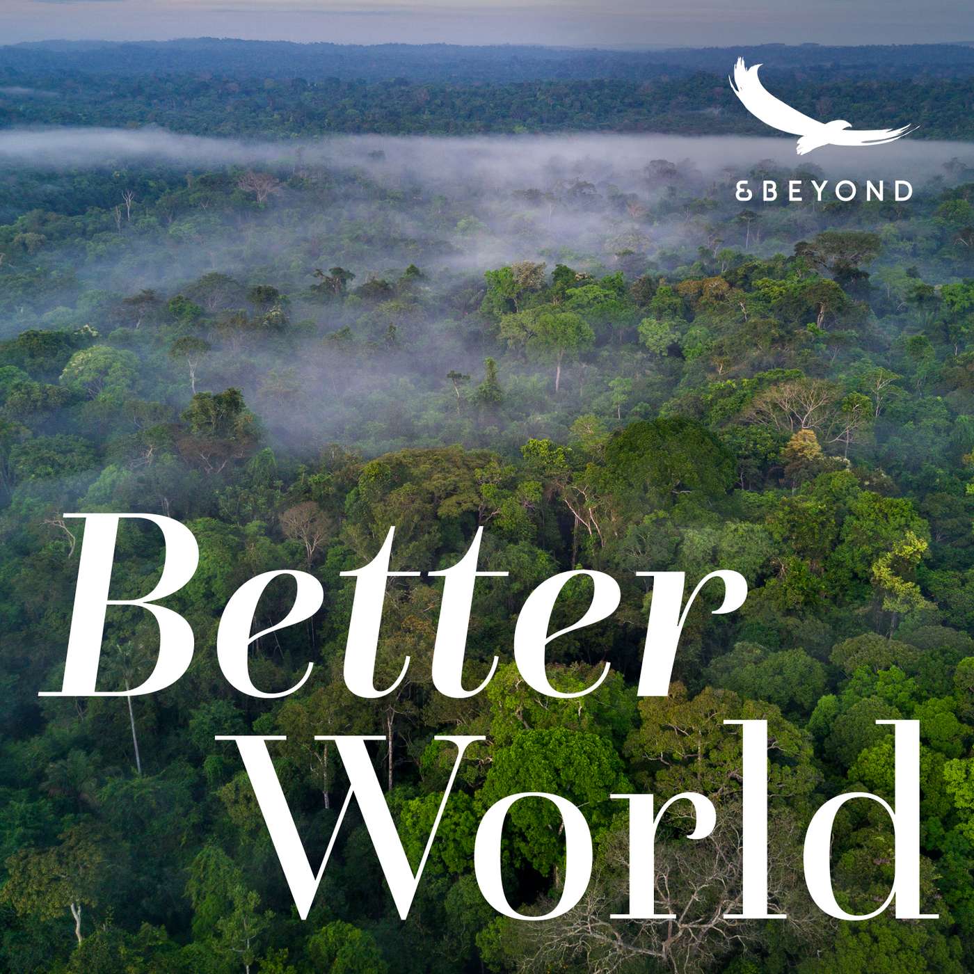 Better World