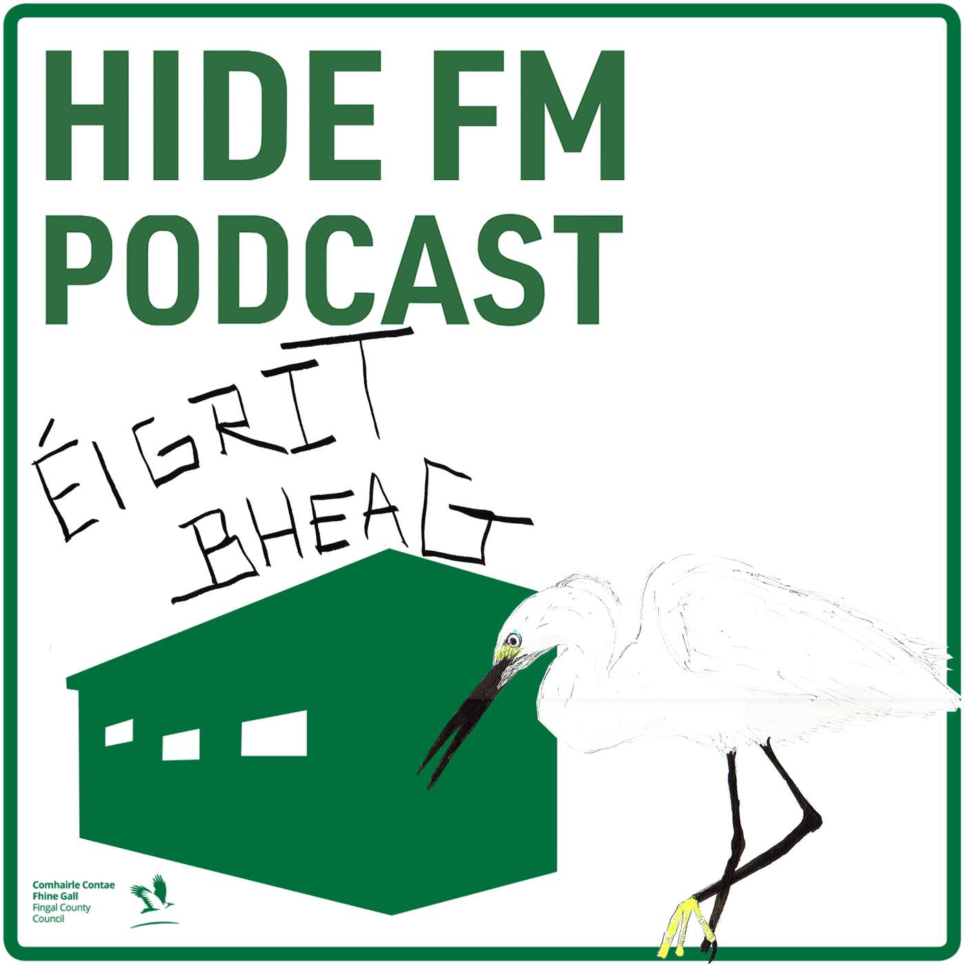 LITTLE EGRET - EGRETTA GARZETTA LITTLE EGRET - EGRETTA GARZETTA