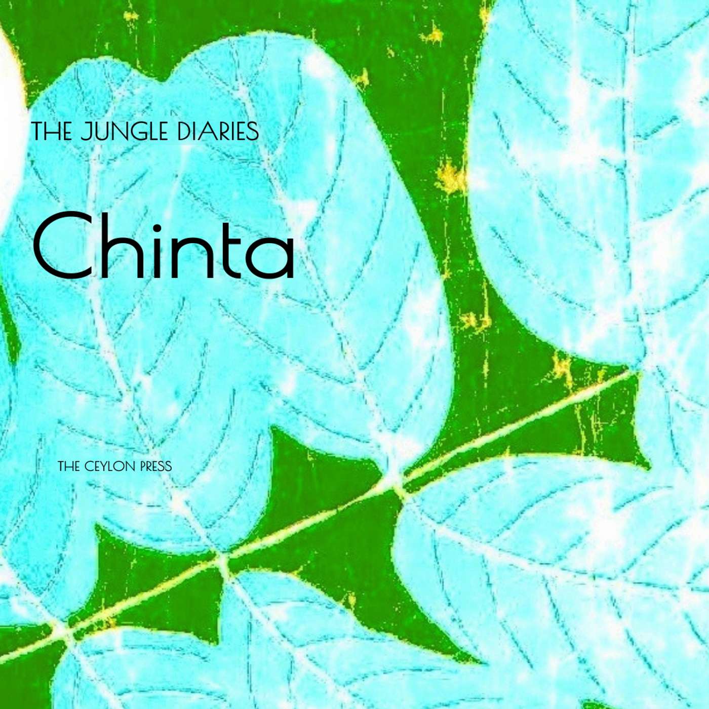 Chinta