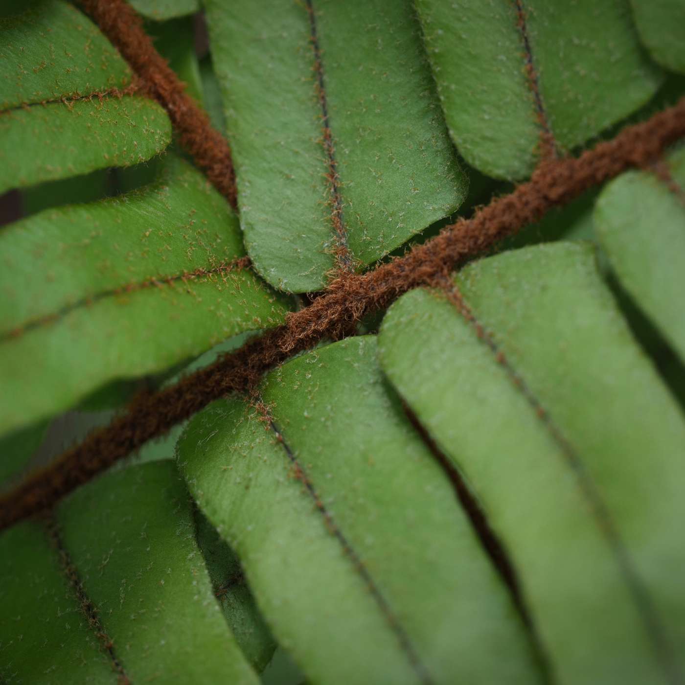 christopherharper.media