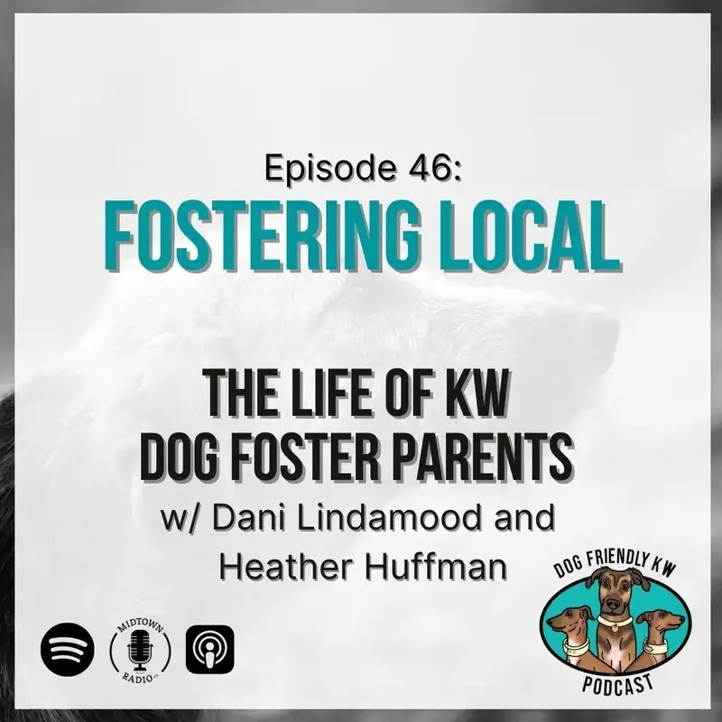 Fostering Local: The Life of KW DOG FOSTER Parents