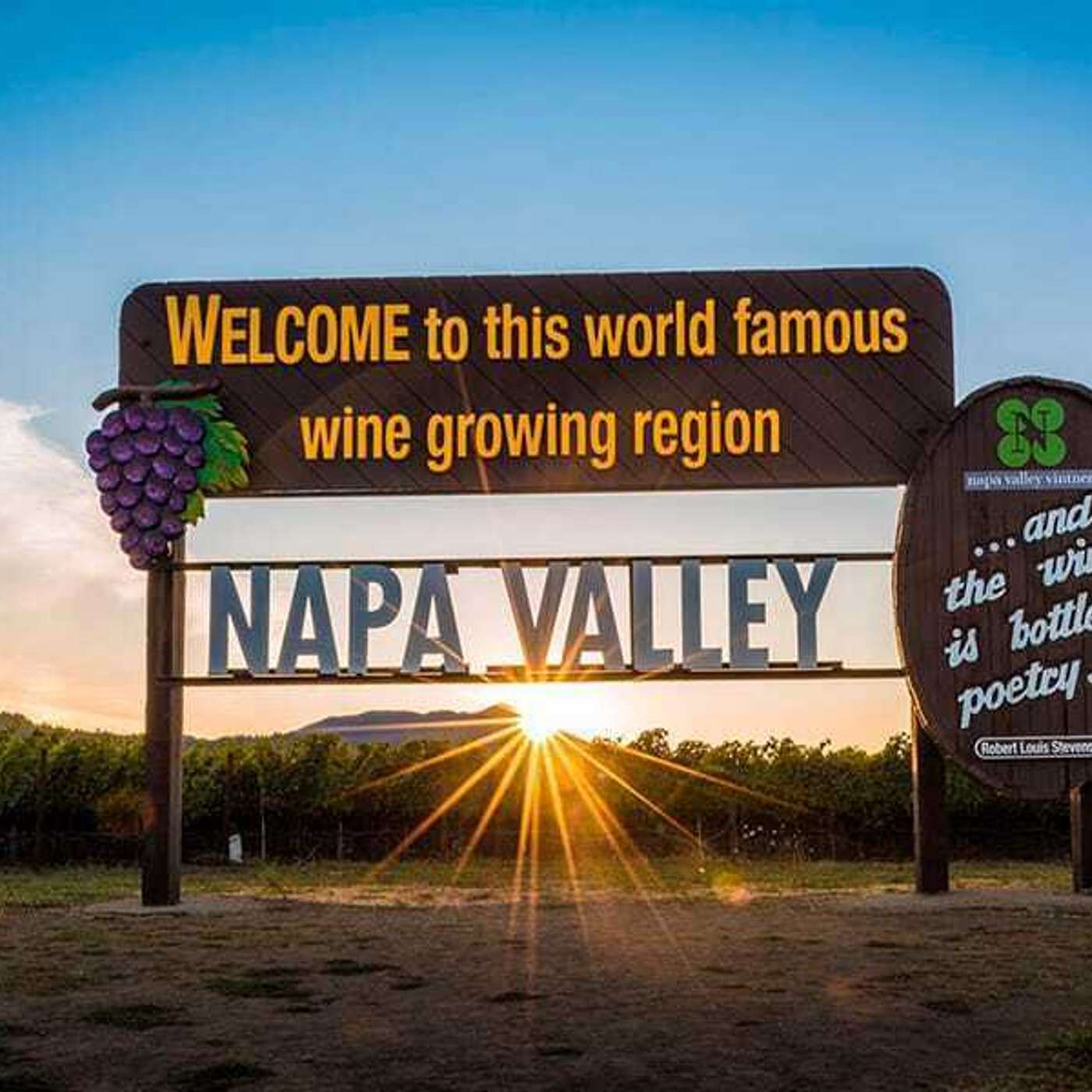 Napa Valley – højborgen for de største amerikanske vine