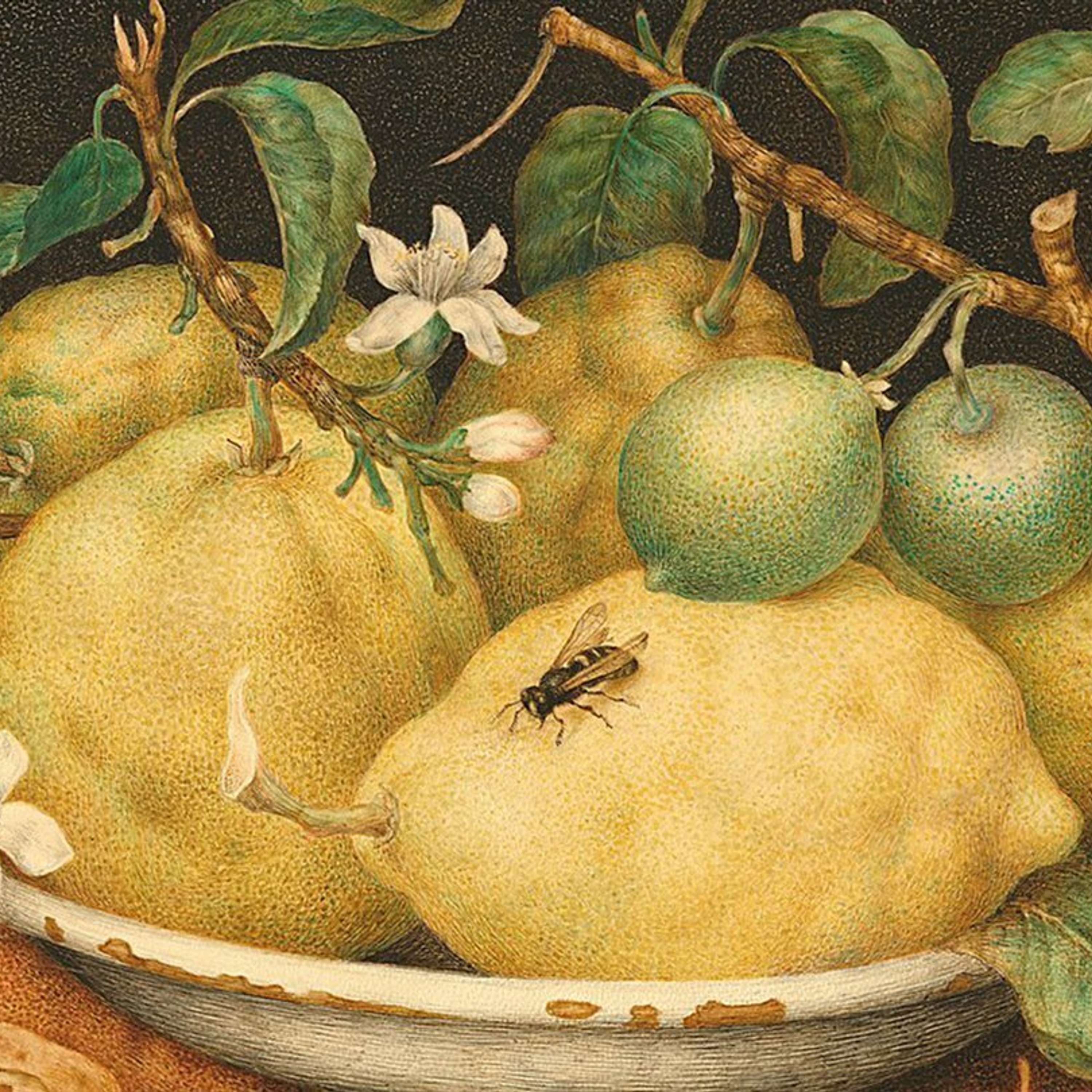 Historia de la comida en España (I): Los alimentos que vinieron de Oriente