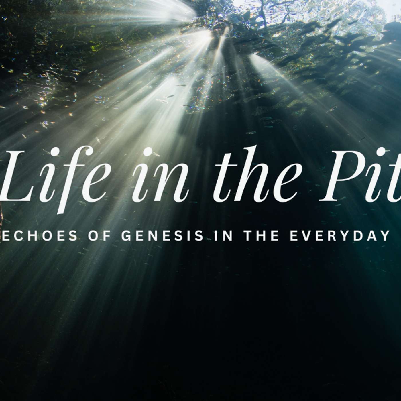 God's purposes, for his glory & peoples' good: Genesis 46-50 (Nicole Tatum)