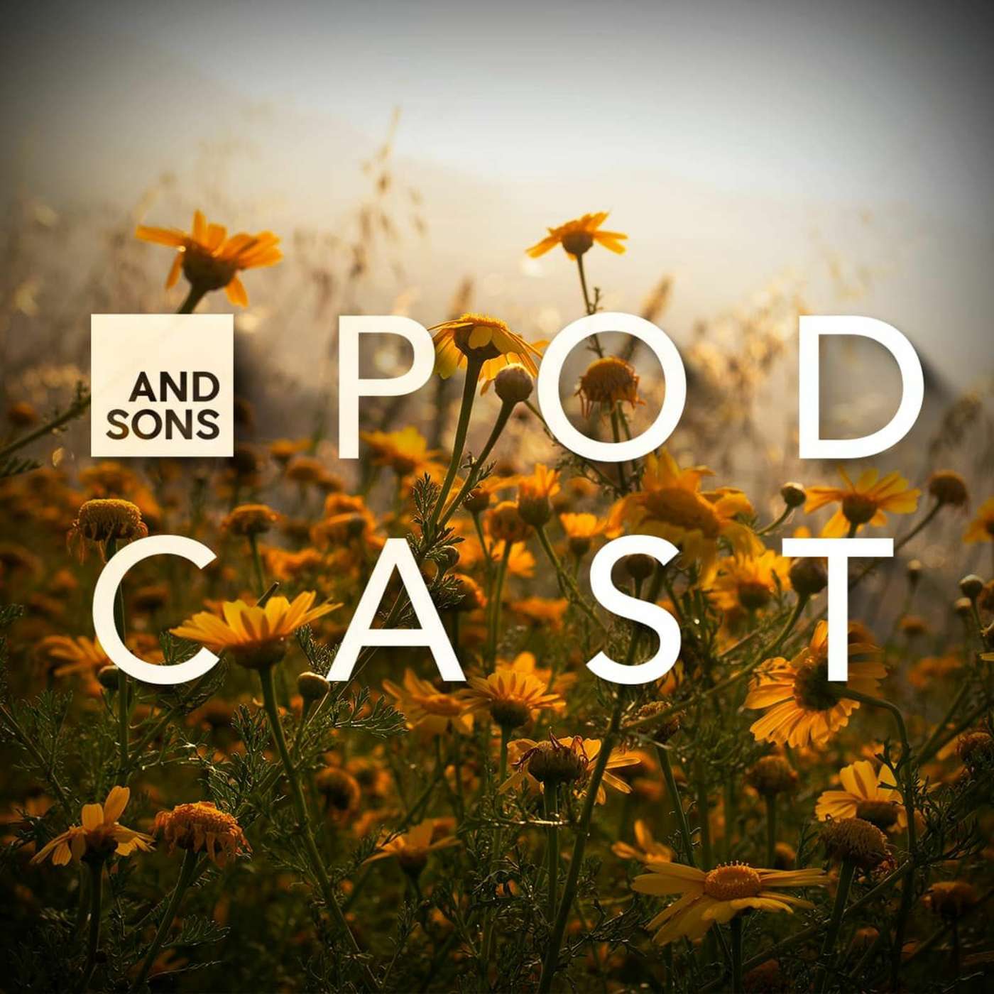 230 | Stasi Eldredge: Captivated by Jesus 230 | Stasi Eldredge: Captivated by Jesus