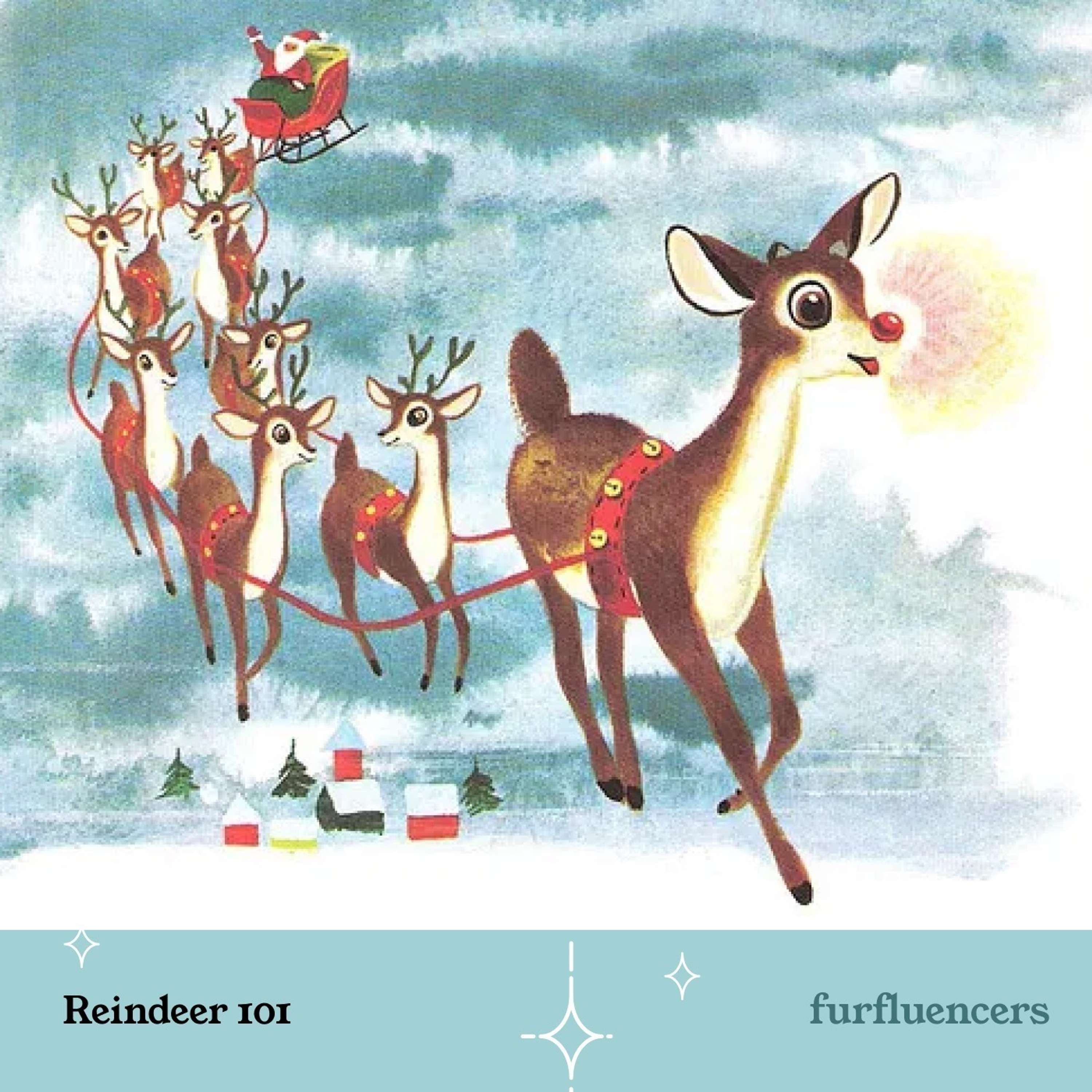 Furfluencers