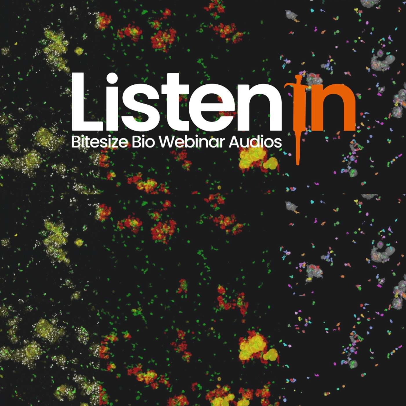 AI-Powered 3D Organoid Analysis