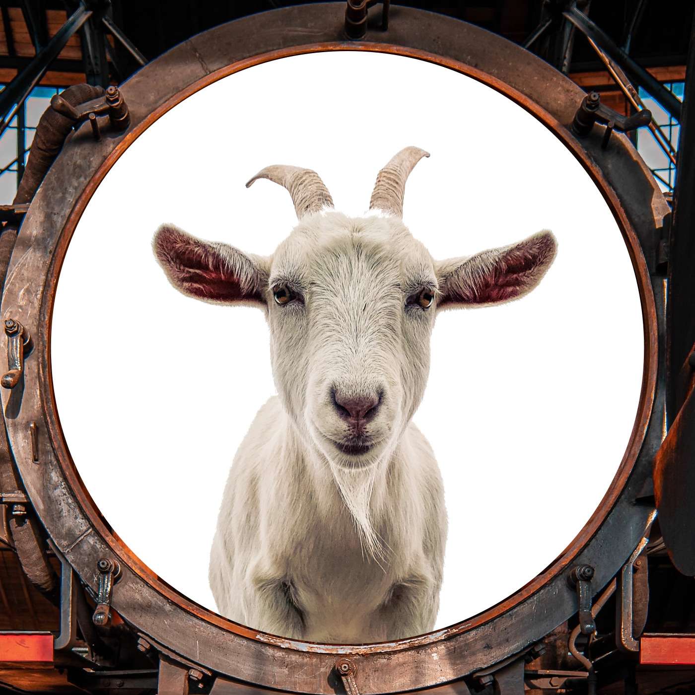 Who is Molly Whiskers?