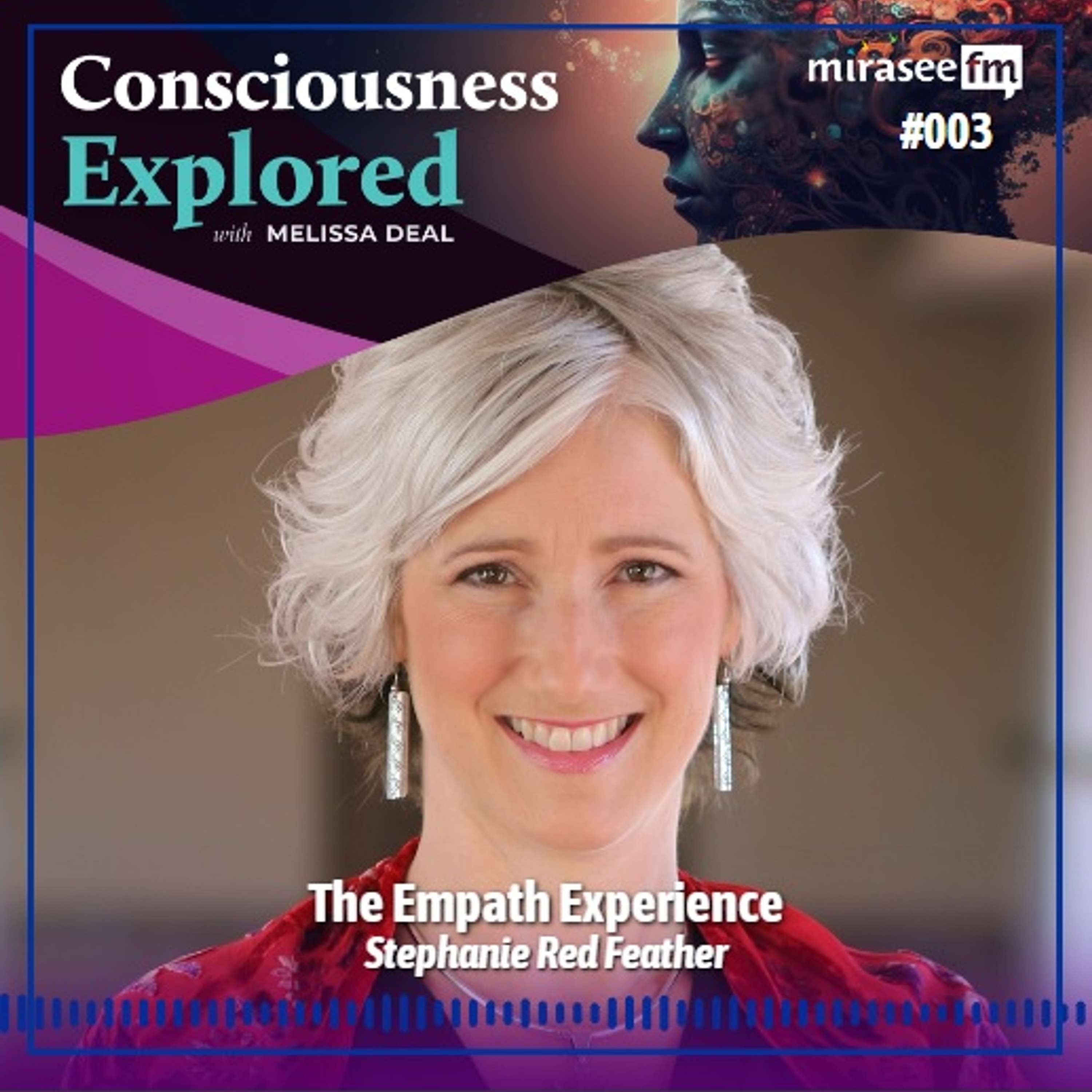 Consciousness Explored