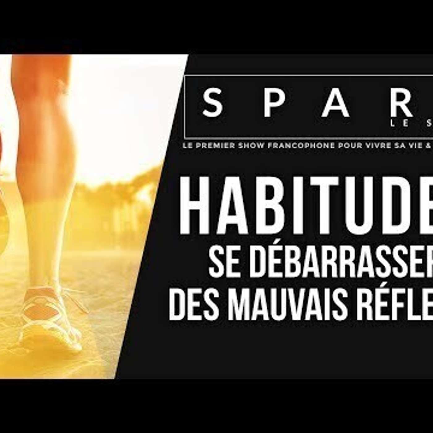 Le Podcast de Franck Nicolas