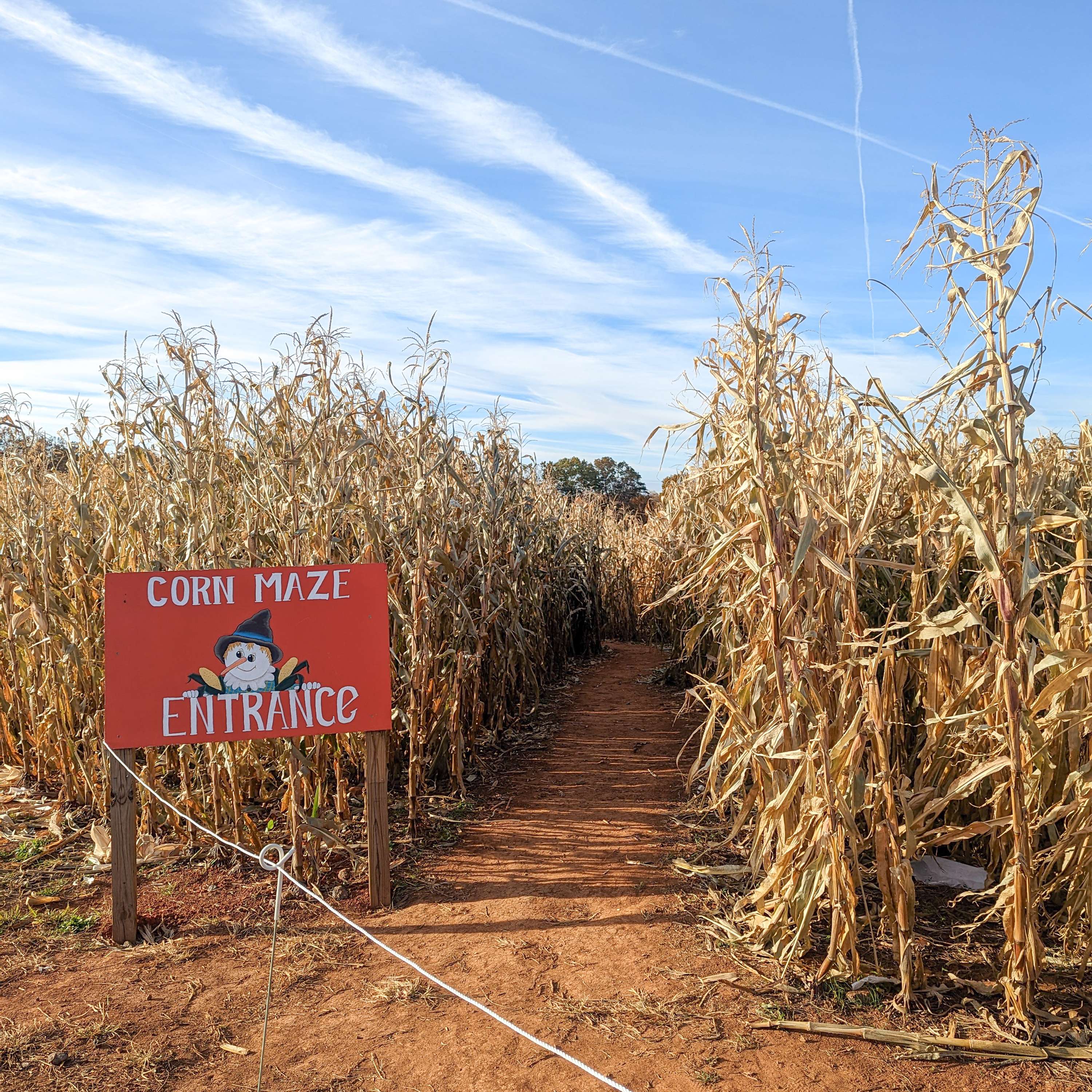 049 - Fall Pumpkin & Corn Maze Season and 2023 PYO Strawberry Planting