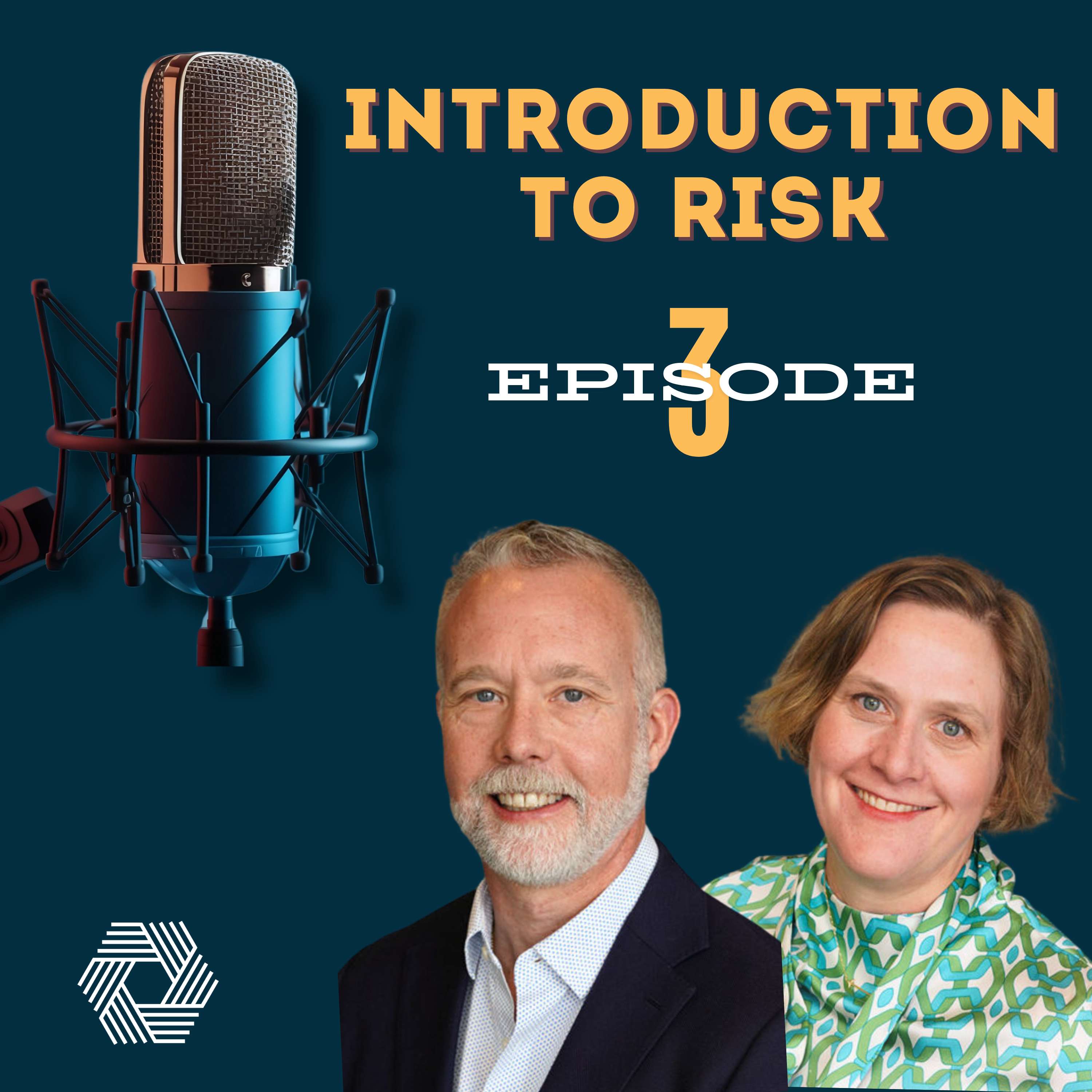 E3: Introduction to Risk