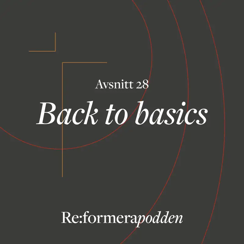 Avsnitt 28 - Back to basics