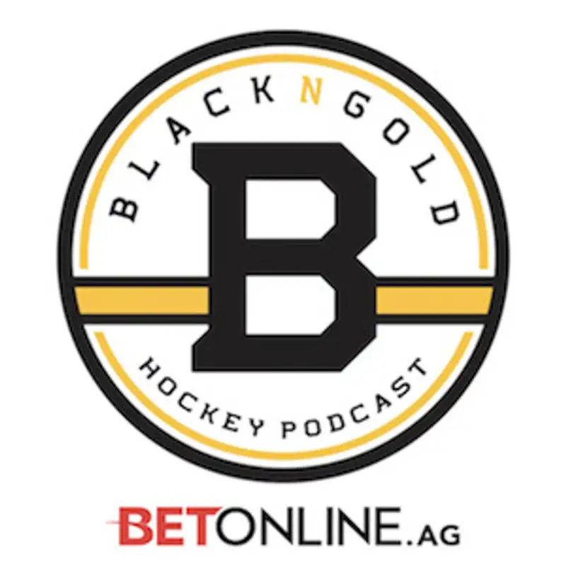 The Black N' Gold Hockey Podcast Crew is Back Talking Boston Bruins Off-Season Style
