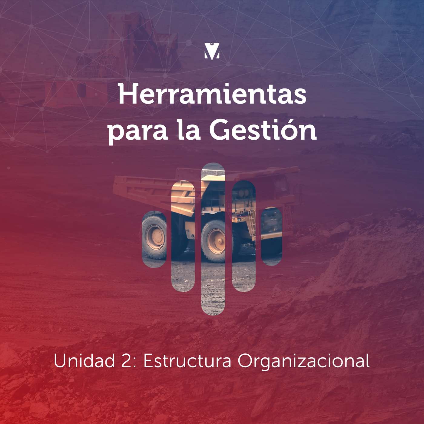 2 - HERRAMIENTAS PARA LA GESTIÓN: Unidad 2 - Estructura Organizacional