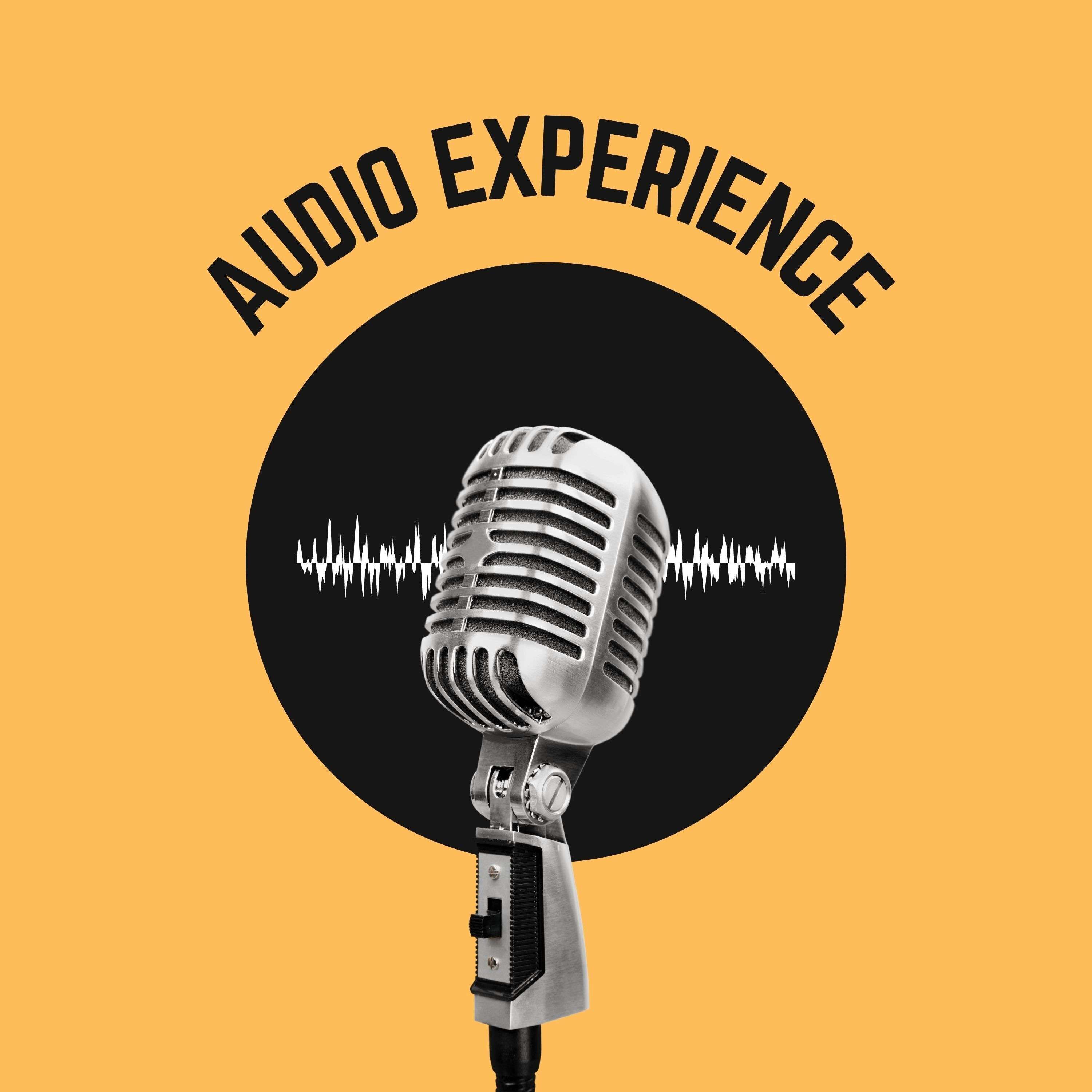 Audio Experience 2023