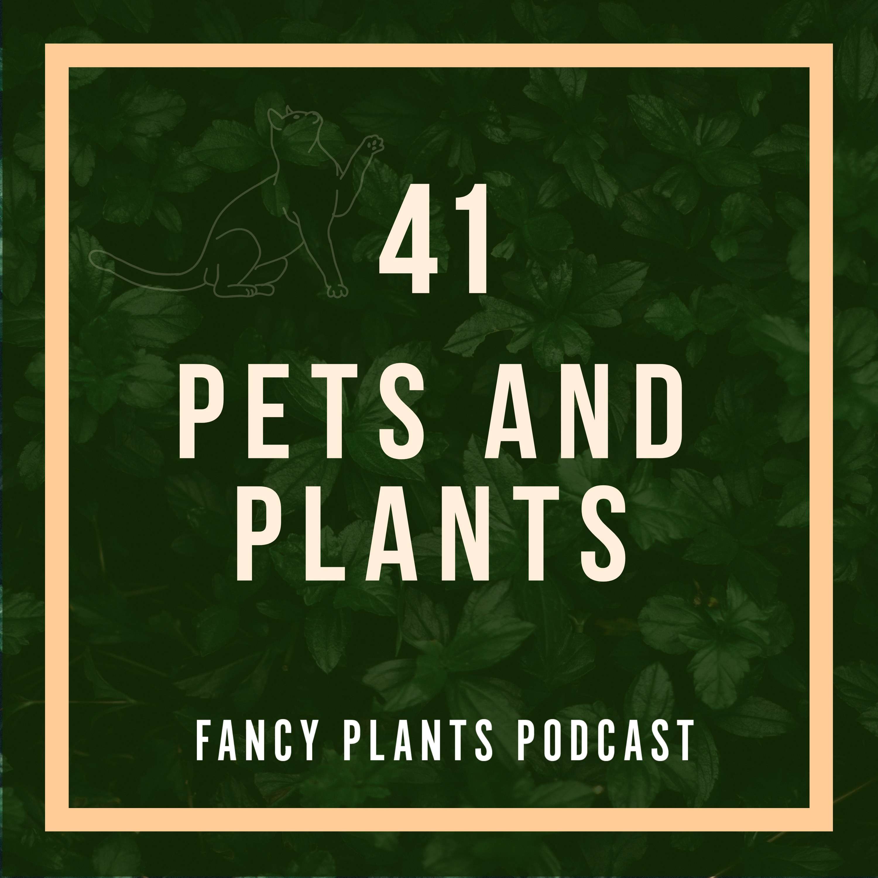 41. Pets and Plants