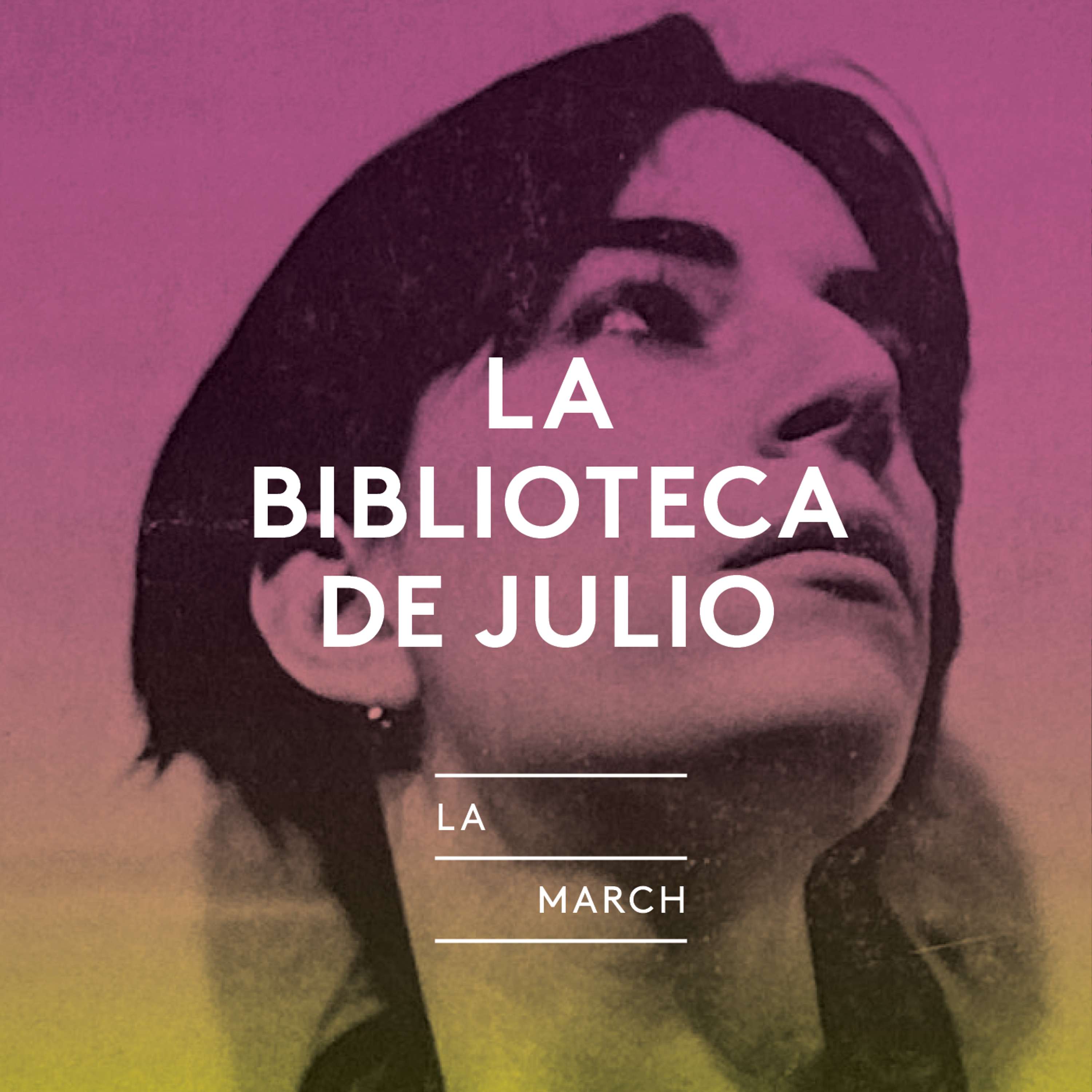 La biblioteca de Julio