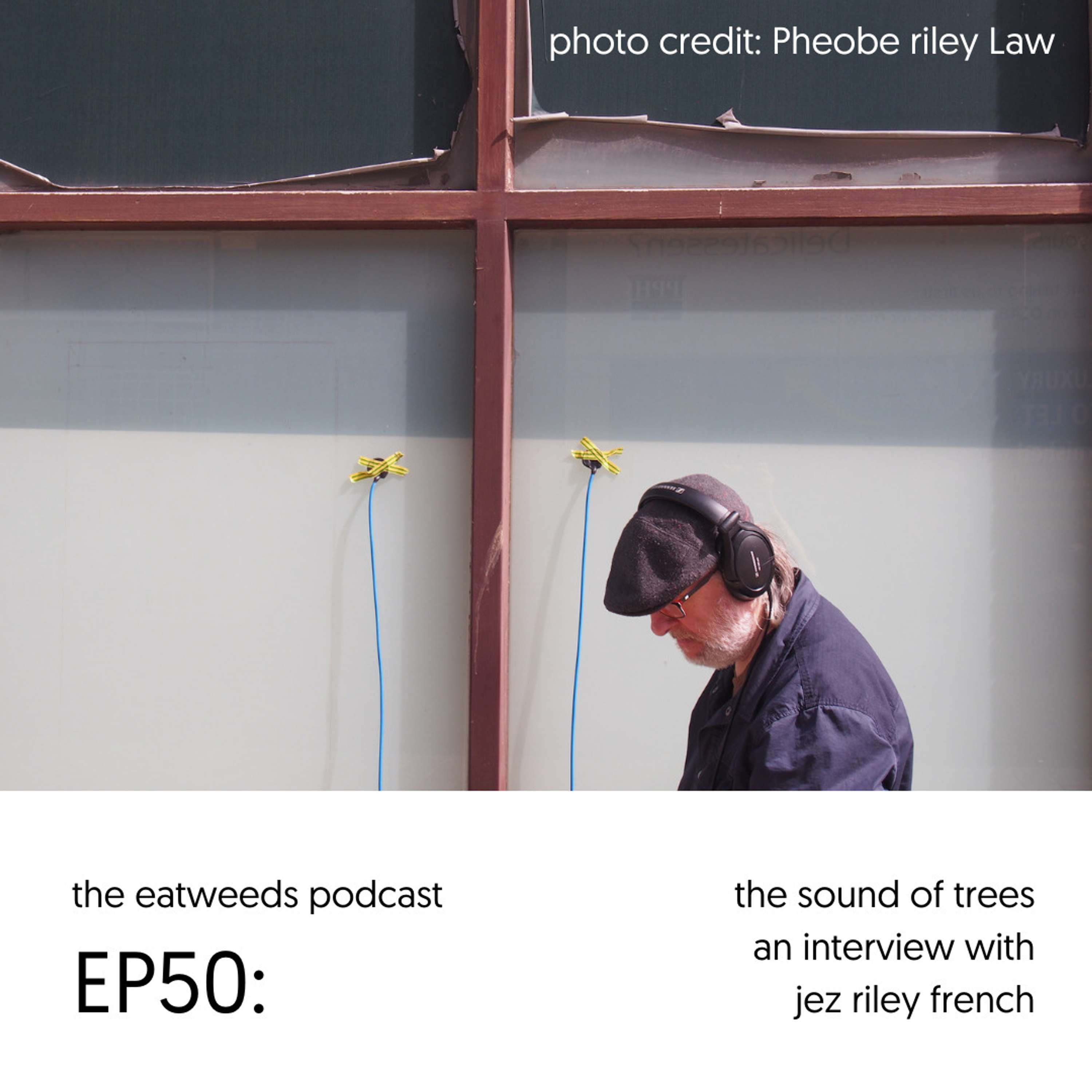 EP50: The Sound of Trees