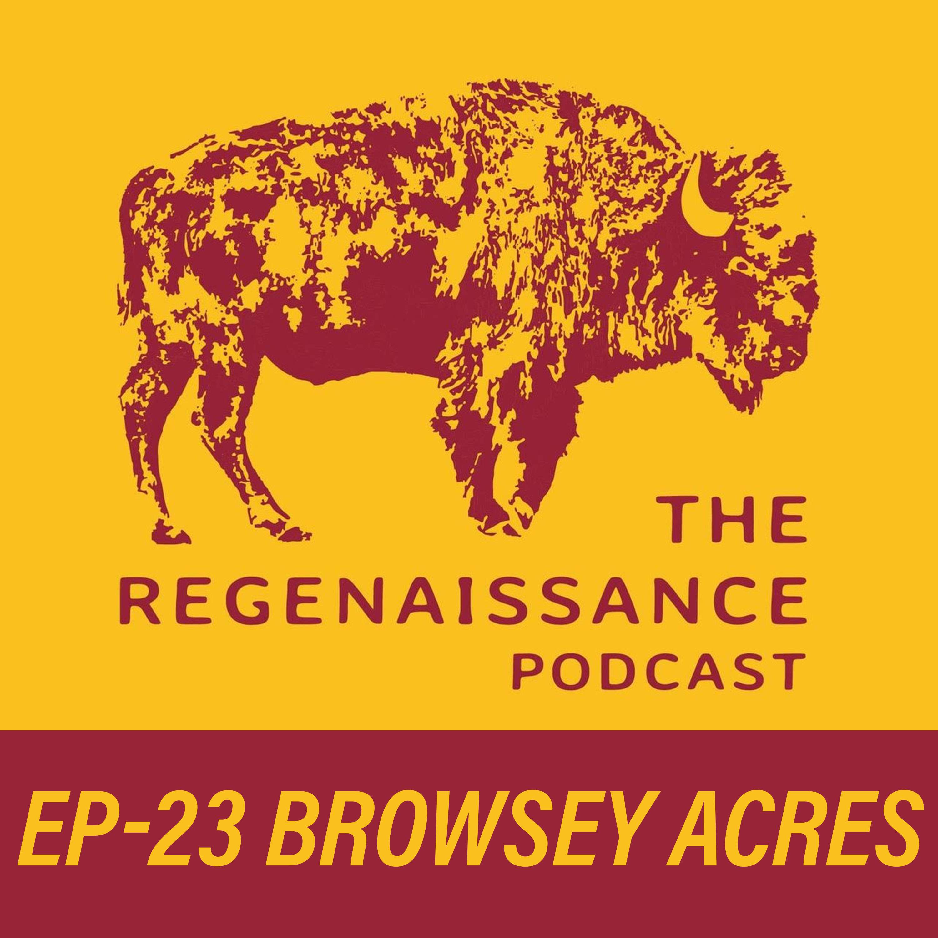 The Regenaissance Podcast