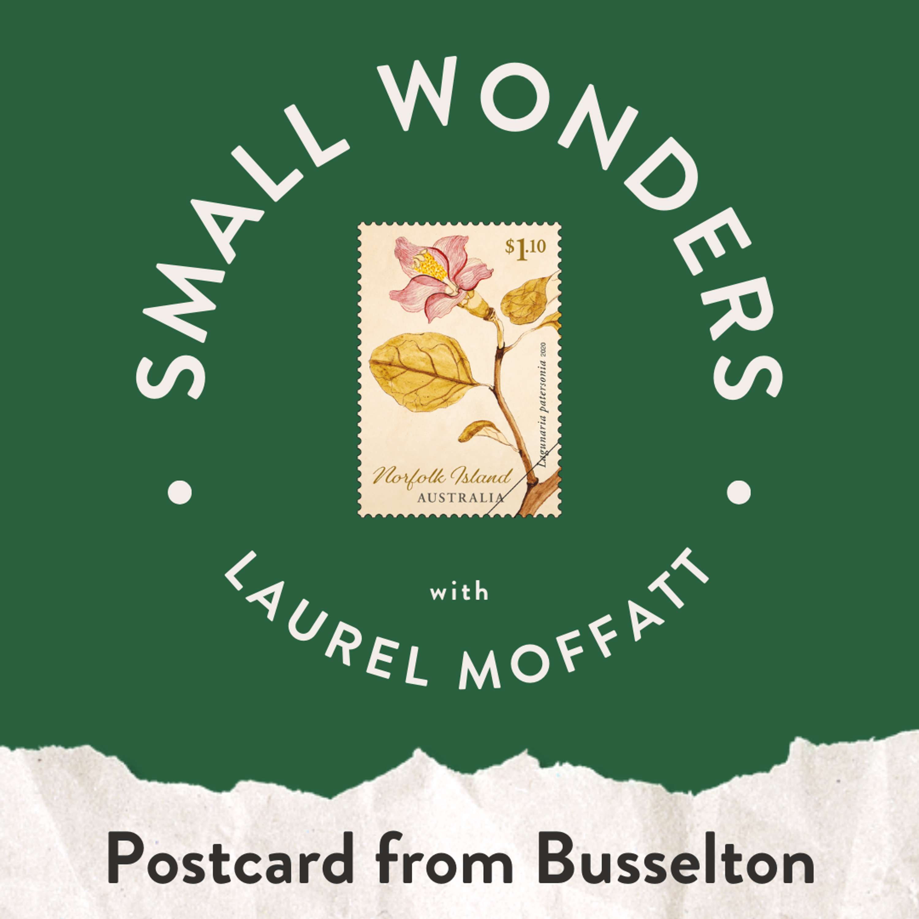 Small Wonders