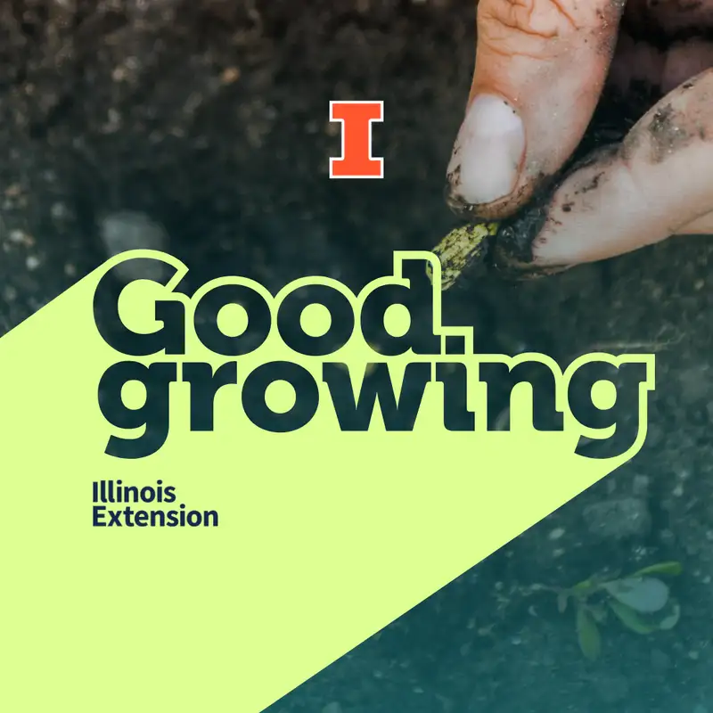 Ep. 199 The return of the Grow Along | #GoodGrowing