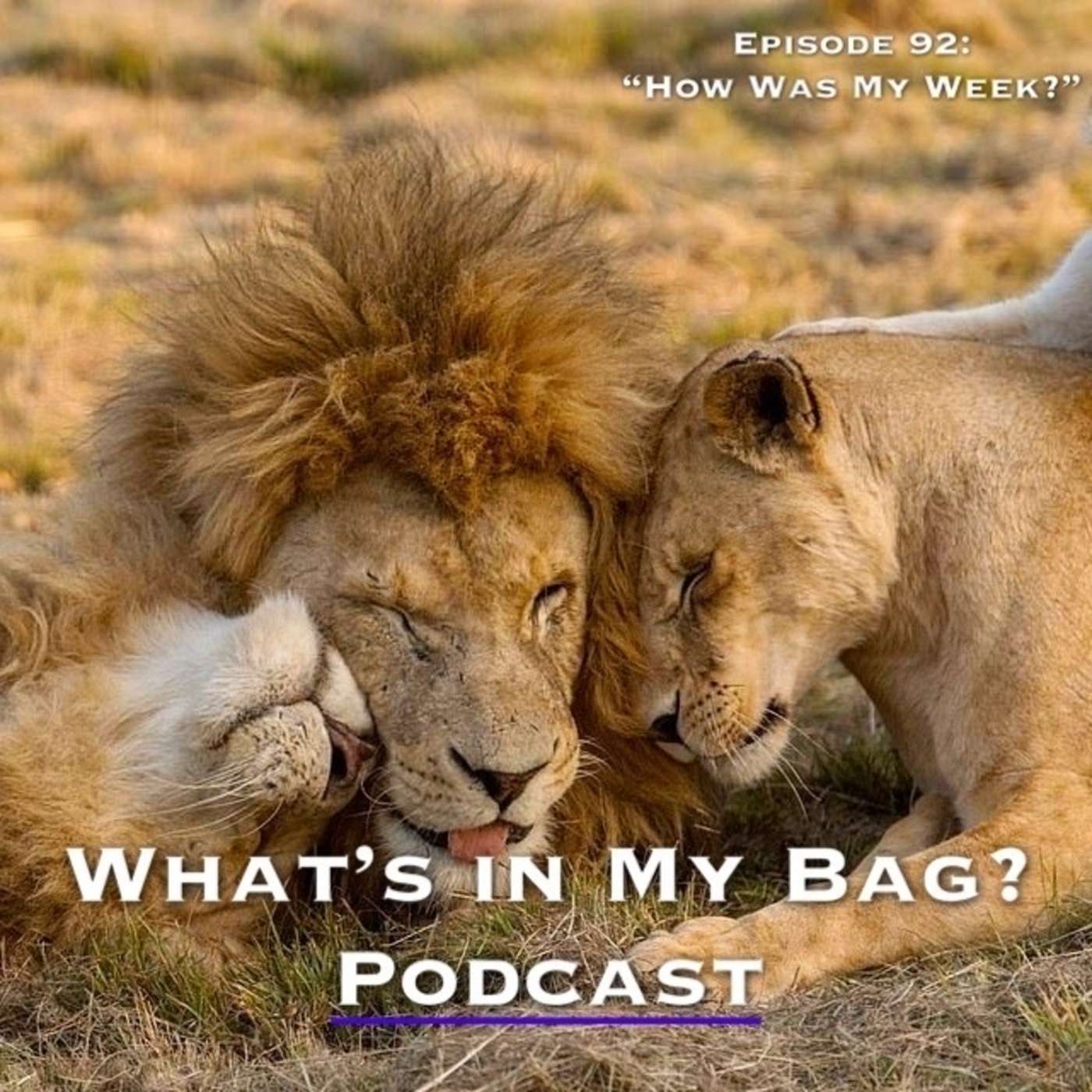 What\'s in My Bag? (Podcast)