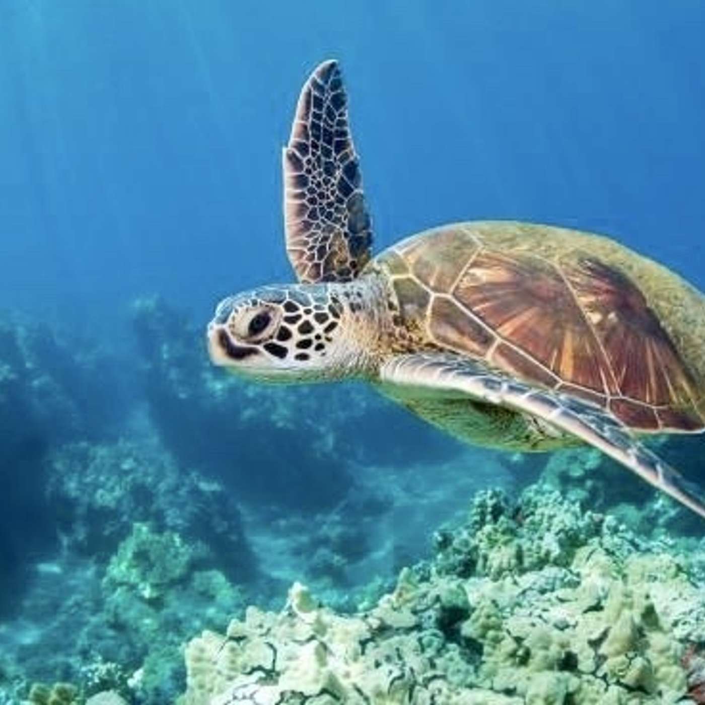 Redefining tourism in a global system