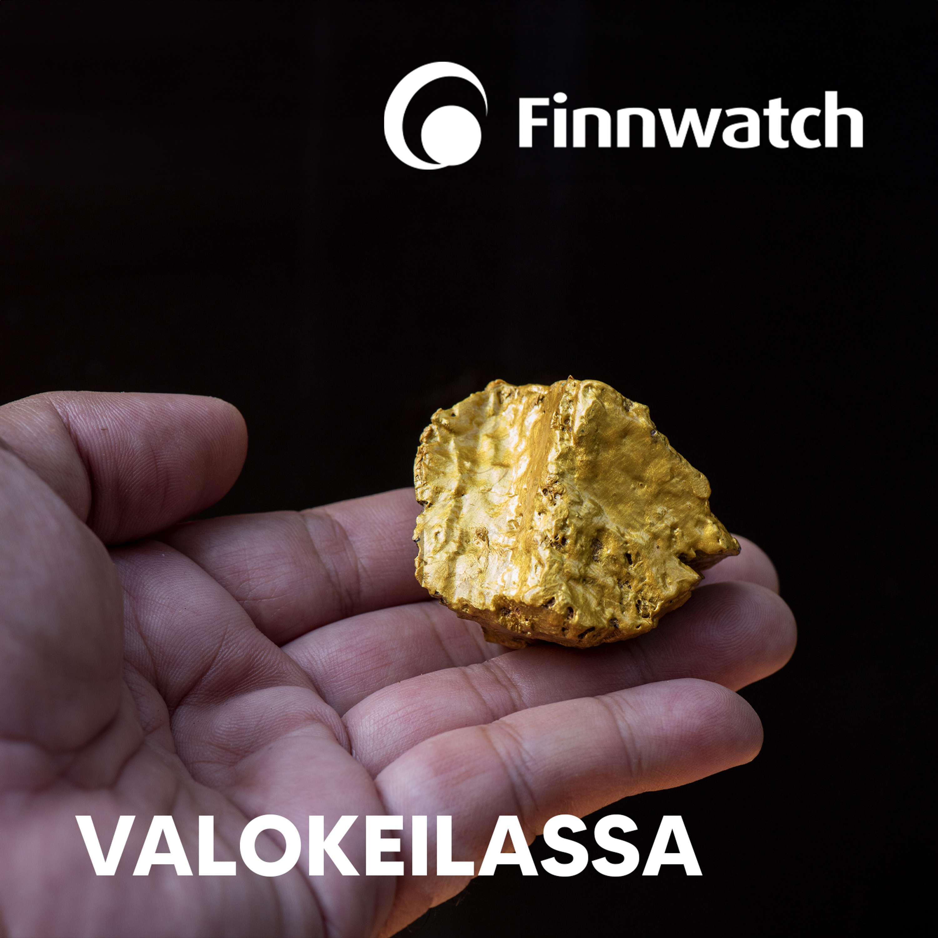 Finnwatch - Valokeilassa
