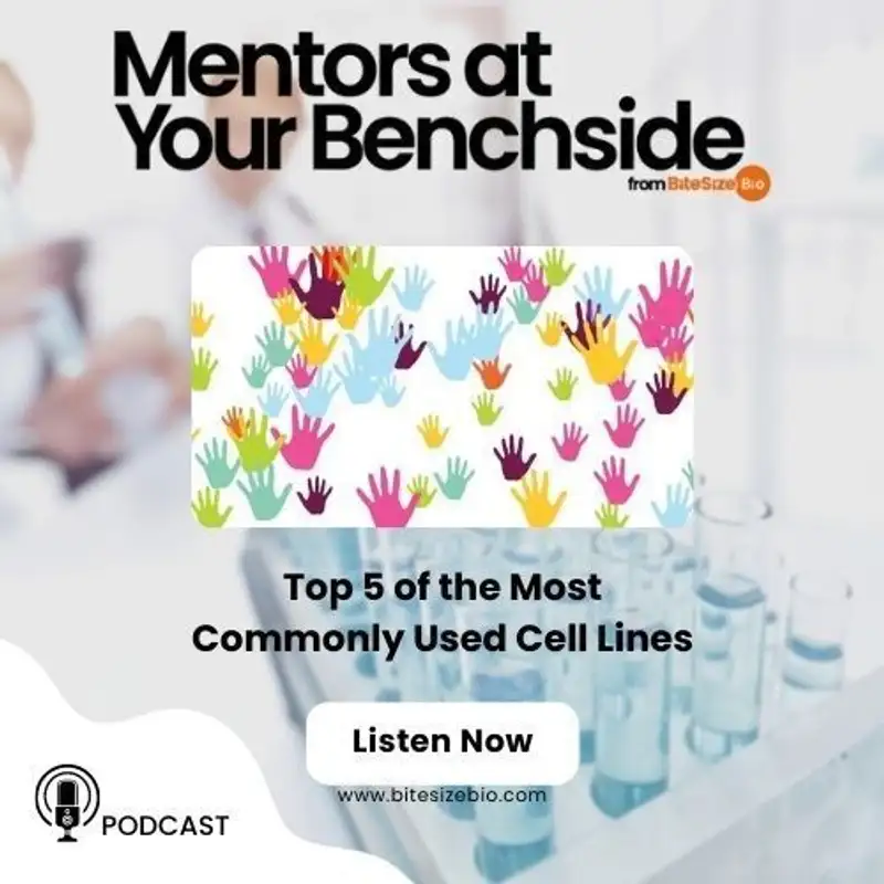 Top 5 of the Most Commonly Used Cell Lines