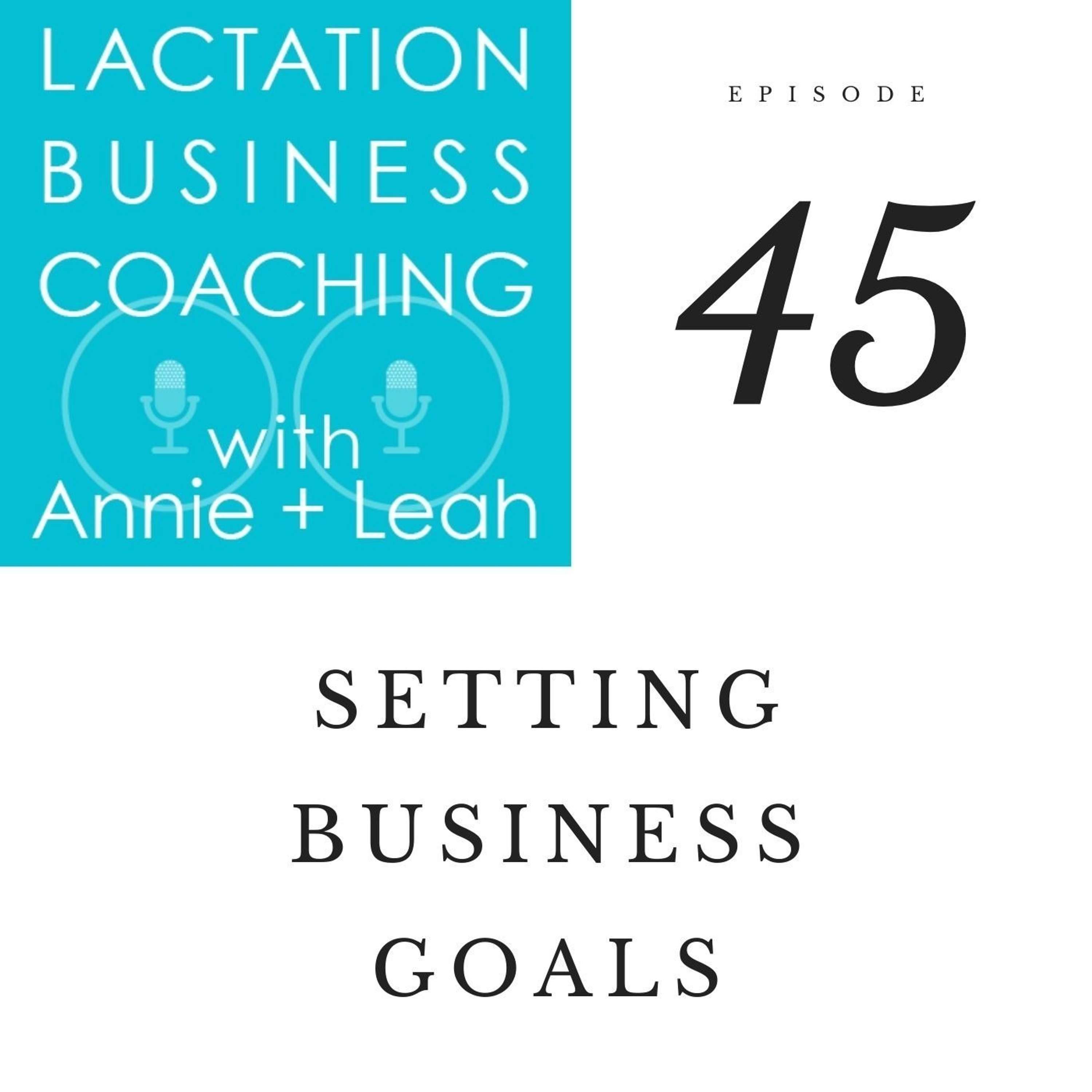 Ep 45 | Setting Business Goals
