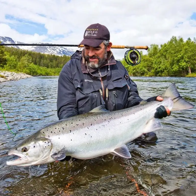 Matt Harris and why it's still the salmon above all others