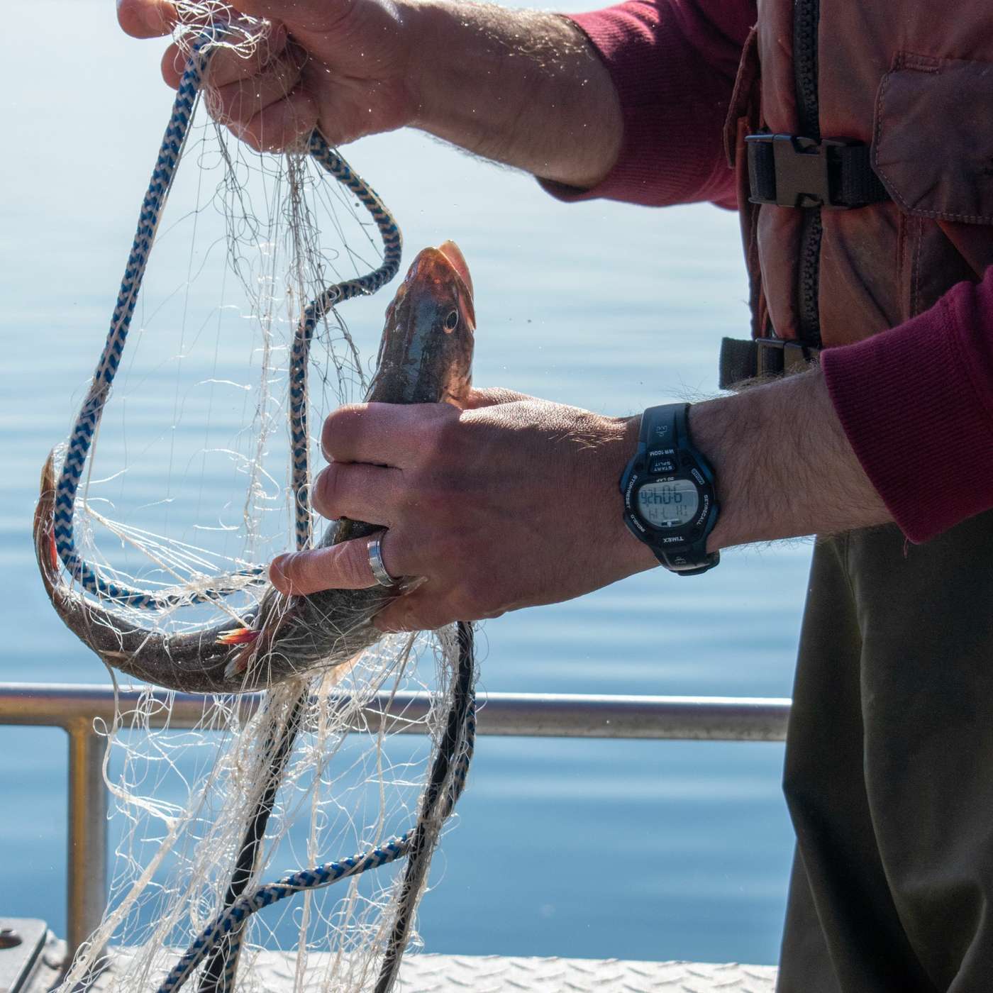 WTIP Outdoor News Podcast